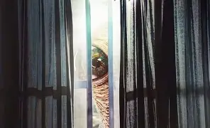 关于:}?晛=粎貧/噫w>簦飲踭4)-麻将胡了